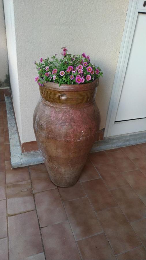 Apartment Aspra Al Delfino Blu *