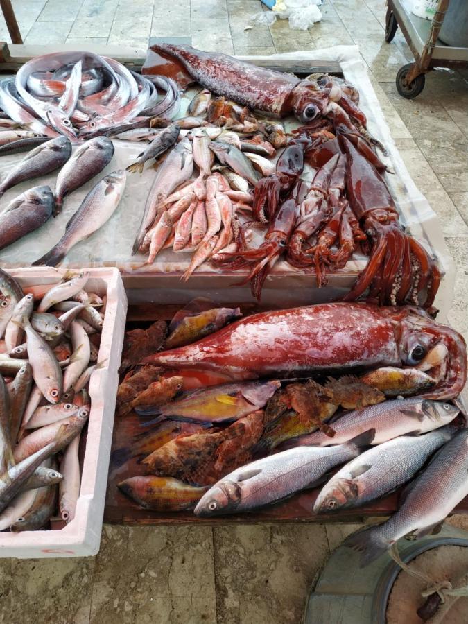 Aspra Al Delfino Bianco Appartamento Bagheria